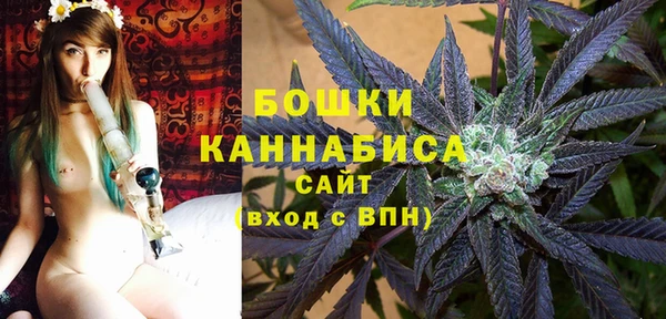 МДПВ Мегион