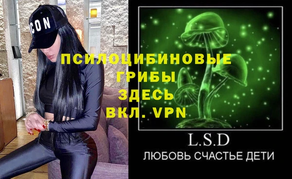 шишки Михайловка