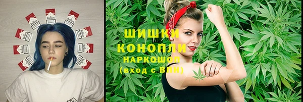 шишки Михайловка