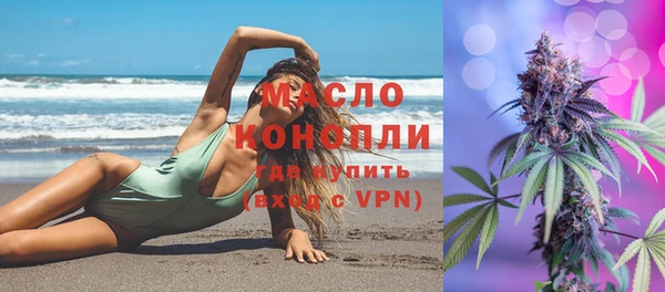 молекула духа Надым