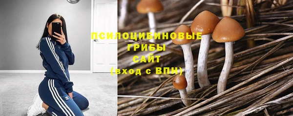шишки Михайловка